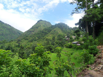 bahun danda