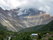 lower pisang 5