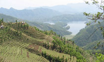 fewa lake