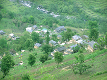 ghalel
