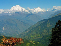 dhaulla